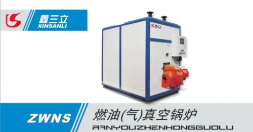 小型燃?xì)忮仩t