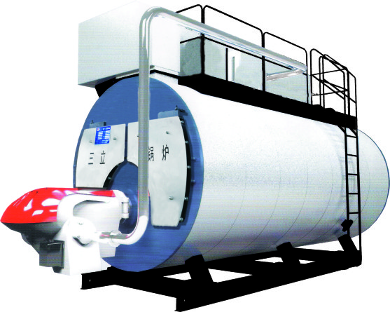 低氮燃?xì)忮仩t廠家